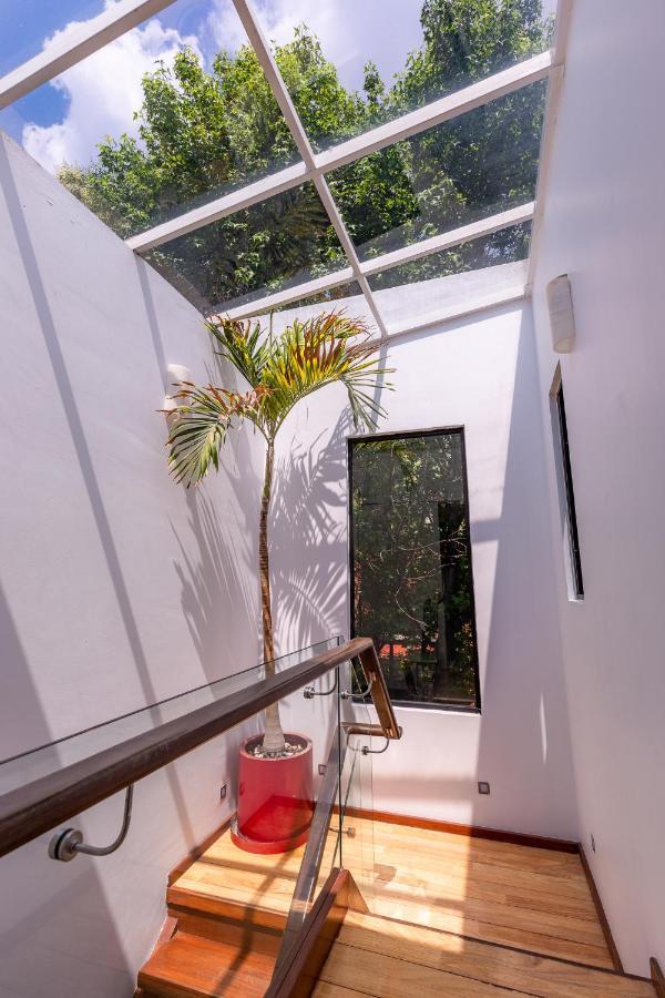 Casa Blanca In Coyoacan Mexico City Exterior photo